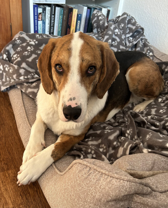 Wir sind dann mal die Tobby-Eltern …